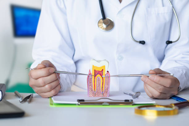 Best Emergency Wisdom Tooth Extraction in Oakwood, GA